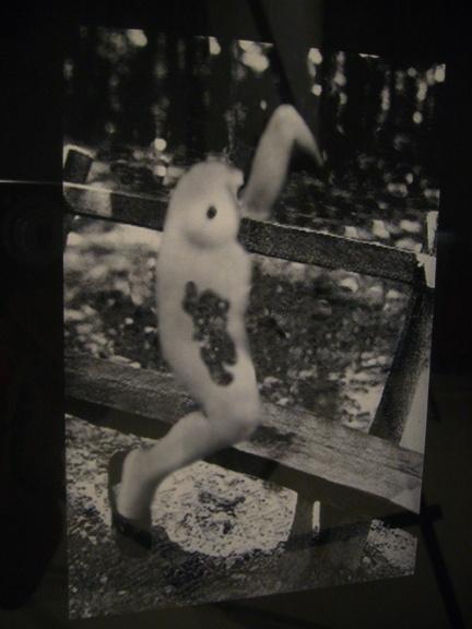 Fotó: David Lynch: