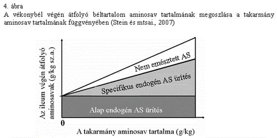 A sertéstakarmányok fehérje értékelése Ahogy azt a 4. ábra mutatja a vékonybél végén gyűjtött chymusban lévő endogén aminosav mennyisége két részre bontható.