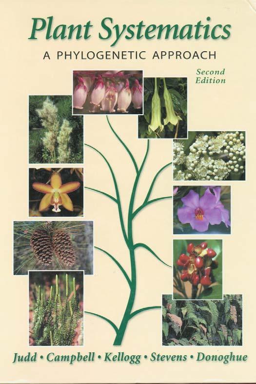 2003 APG - Amborella in basal position - Chloranthaceae and Magnoliids are sister to