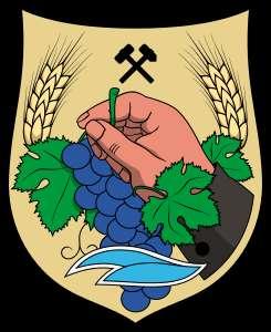 Helyi