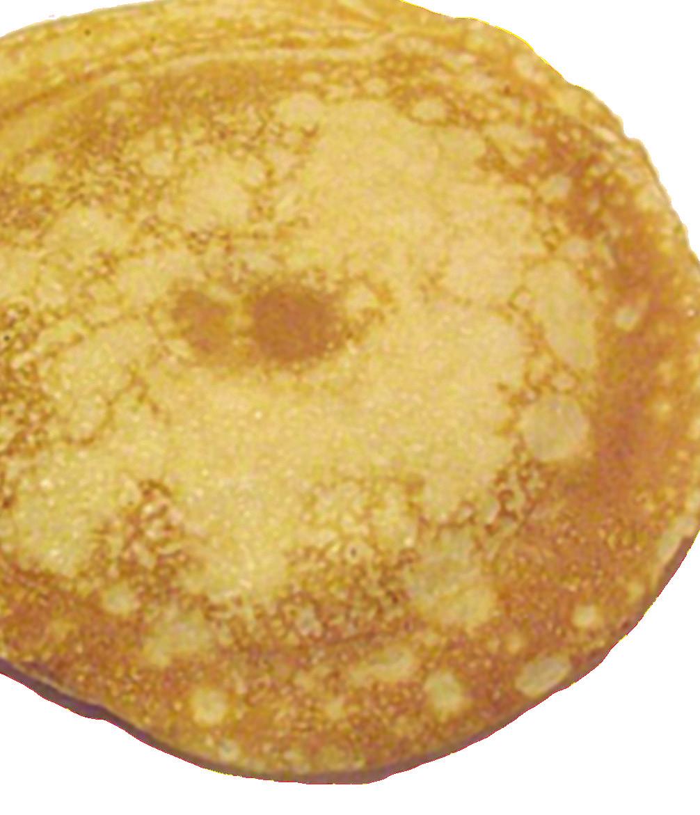 Némi csípôs kedvességet, Lisztóczki