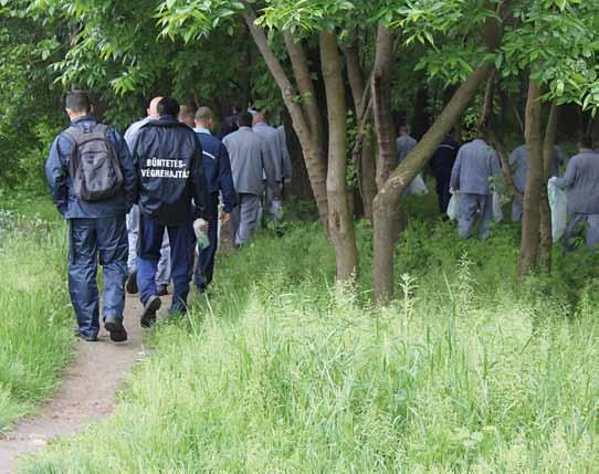 2015 egy részét az illegálisan lerakott hulladéktól, májusban pedig több intézet is csatlakozott az országos szemétgyűjtési akcióhoz, a TeSzedd programhoz.