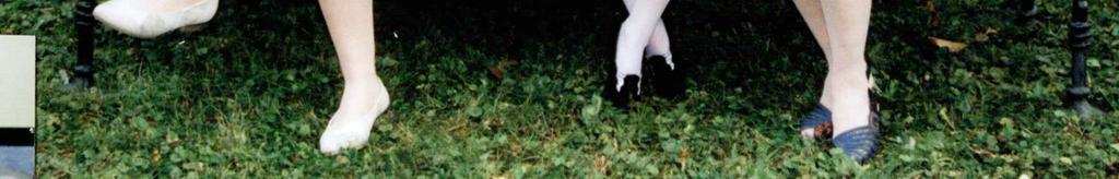 Tulajdonosi struktúra 1997-ben.