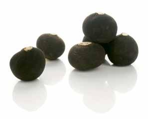RETEK 1 kg 199