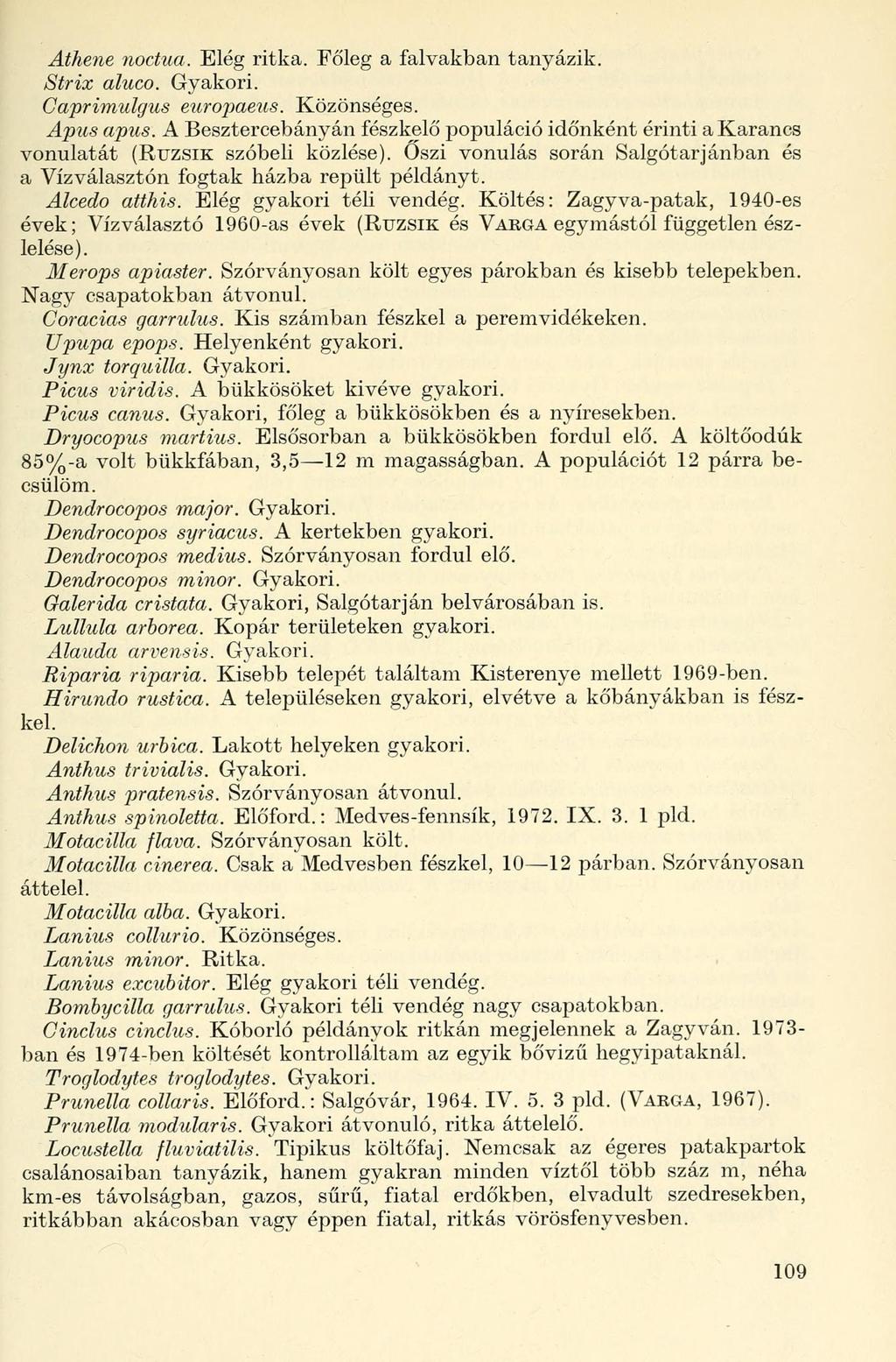 Athene noctua. Elég ritka. Főleg a falvakban tanyázik. Strix aluco. Gyakori. Caprimulgus europaeus. Közönséges. Apus apus.