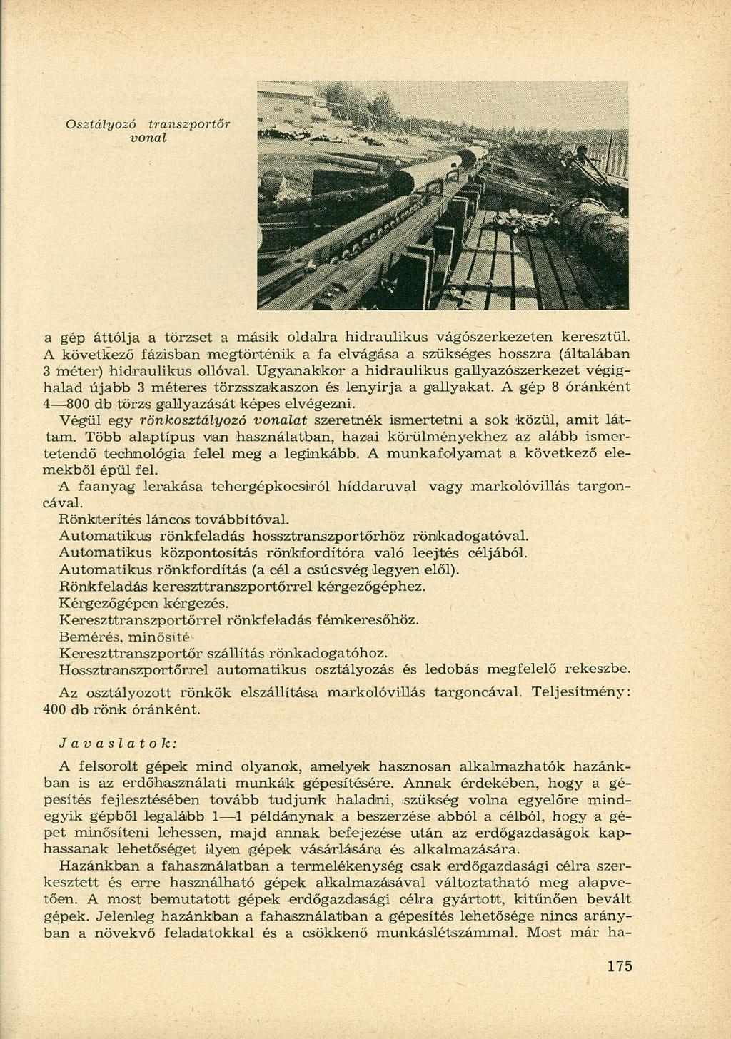 Osztályozó transzportőr vonal a gép áttolja a törzset a másik oldalra hidraulikus vágószerkezeten keresztül.