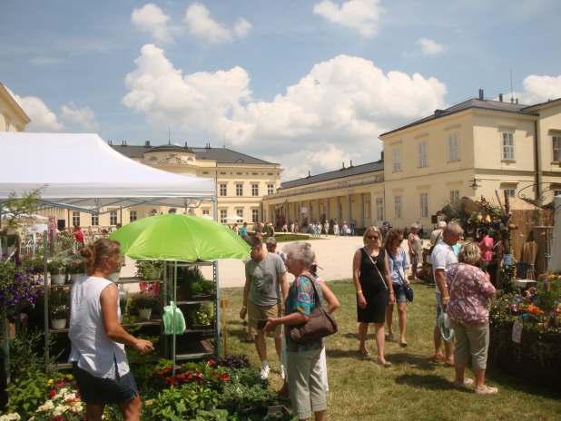 Magyar Kaktuszgyűjtők Országos Egyesülete 2030 Érd, Hernád utca 15/A Adószám: 19576583-1-13 www. kaktuszgyujtok.hu Elnökség: Elnök: H Ferenc +36 20 546-2668 horvath.bromelia@gmail.