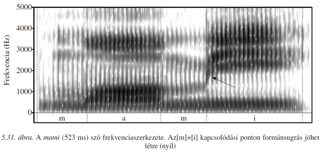 Spektogram (magánhangzók