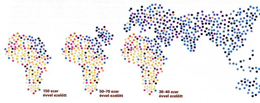 Közép- és ÉK-Afrika fejlődését befolyásoló tényezők Közép- és ÉK-Afrika gyarmatosítása, konfliktusai: Az első emberi leletek 5,9