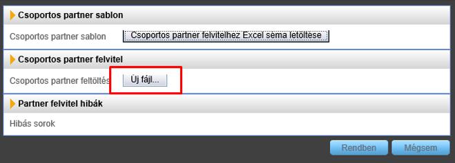 Az Excel fájlt megnyitva a sárgával jelölt mezők kitöltése kötelező.