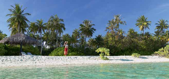 ÉSZAKI MALE ATOLL 8 NAP 7 ÉJ BANDOS MALDIVES RESORT**** A hotel a nagyobbnak számító szigetek egyikén található, dús növényzettel, már-már dzsungeles, gondozott parkkal.