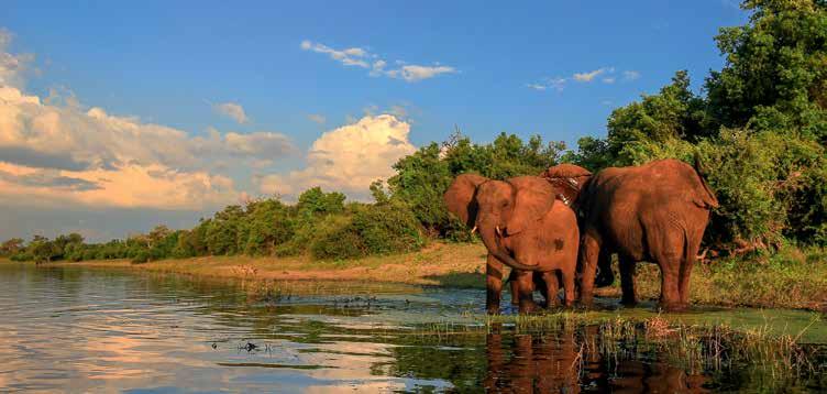 DÉL-AFRIKAI KÖZTÁRSASÁG 7 NAP 6 ÉJ DÉL-AFRIKAI KÖZTÁRSASÁG Johannesburg Krüger Nemzeti Park Fokváros Fedezze fel Dél-Afrikát!