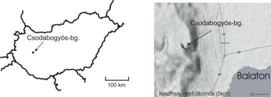 Jelentés a Csodabogyós-barlangban folyó (2007-2009) csepegő víz, és annak stabilizotóp-geokémai kutatási tevékenységről, illetve a barlangi hõmérséklet-mérésekrõl KUTATÁSI CÉLKITÛZÉS Paleoklíma