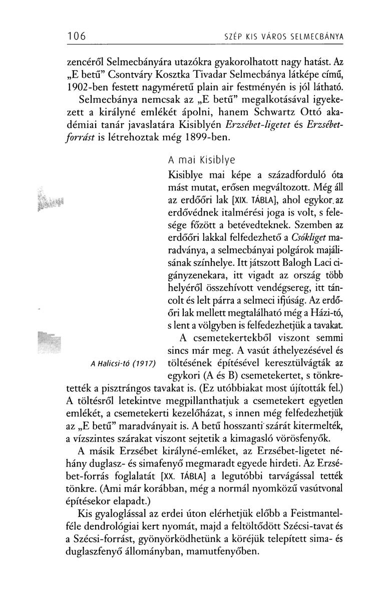 106 SZÉP KIS VÁROS SELMECBÁNYA zencéről Selmecbányára utazókra gyakorolhatott nagy hatást.