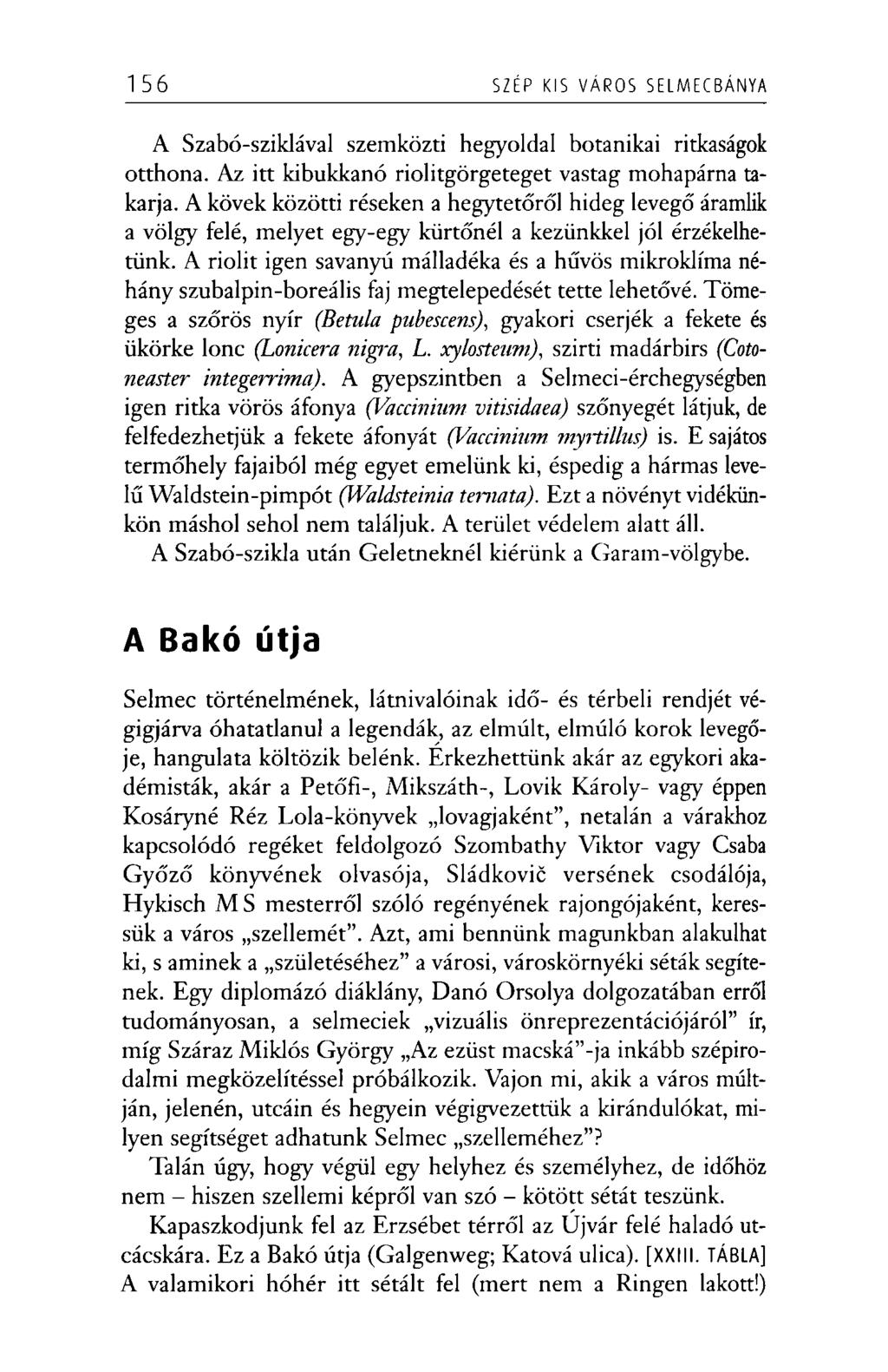 156 SZÉP KIS VÁROS SELMECBÁNYA A Szabó-sziklával szemközti hegyoldal botanikai ritkaságok otthona. Az itt kibukkanó riolitgörgeteget vastag mohapárna takarja.