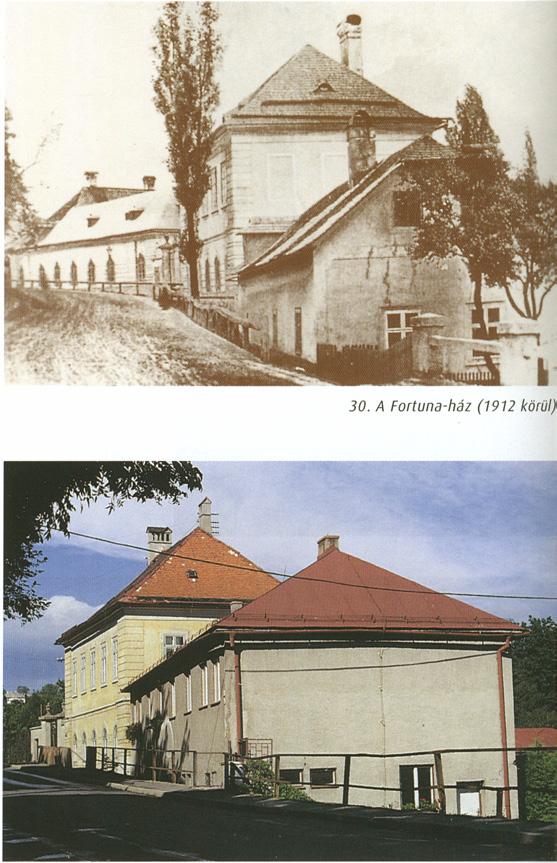 XVIII KÉPTÁBLÁK 31.