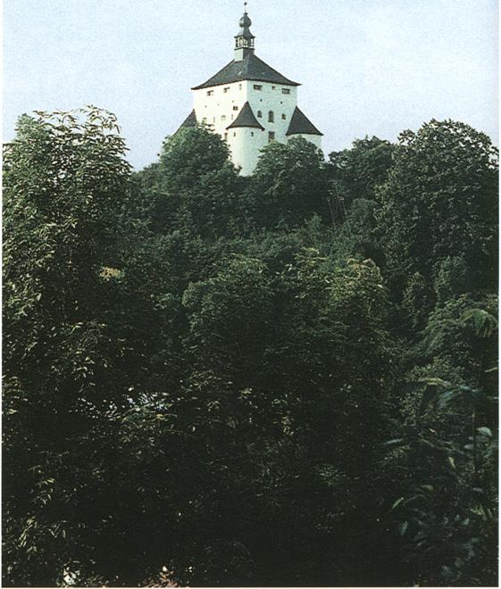 az Erdészeti