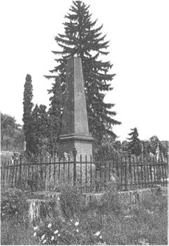 ) A település temetőjének sarkában, hársfák alatt, 48- as honvédobeliszk áll. Emlékeztet Görgey 1849. január 19-én és 2 1-én Szélaknán vívott csatáira.