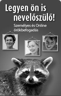 1. Vi vidis anoncon de la zooparko (bestoĝardeno) pri interesa eblo por apogi ĝian agadon: oni (personoj aǔ diversaj grupoj) povas adopti iun beston por unu jaro.