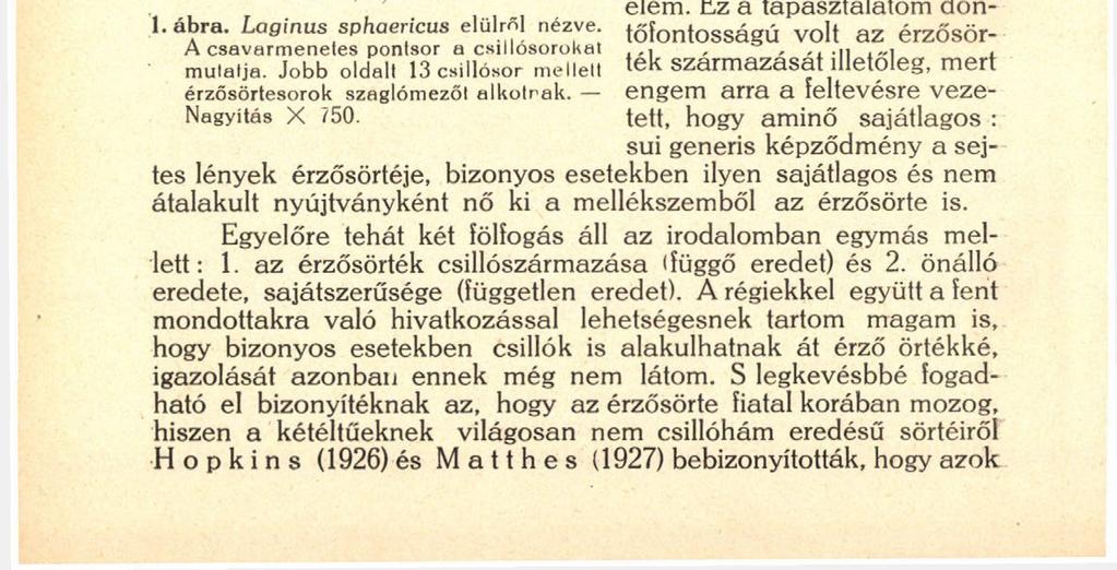 118 eset, hogy valaki csikóknak érzősörtékké való átalakulását igazok hatta volna, holott a magasabbrendűek csillói tapintásra nem kevésbbé alkalmasak, mint a csikósokéi.