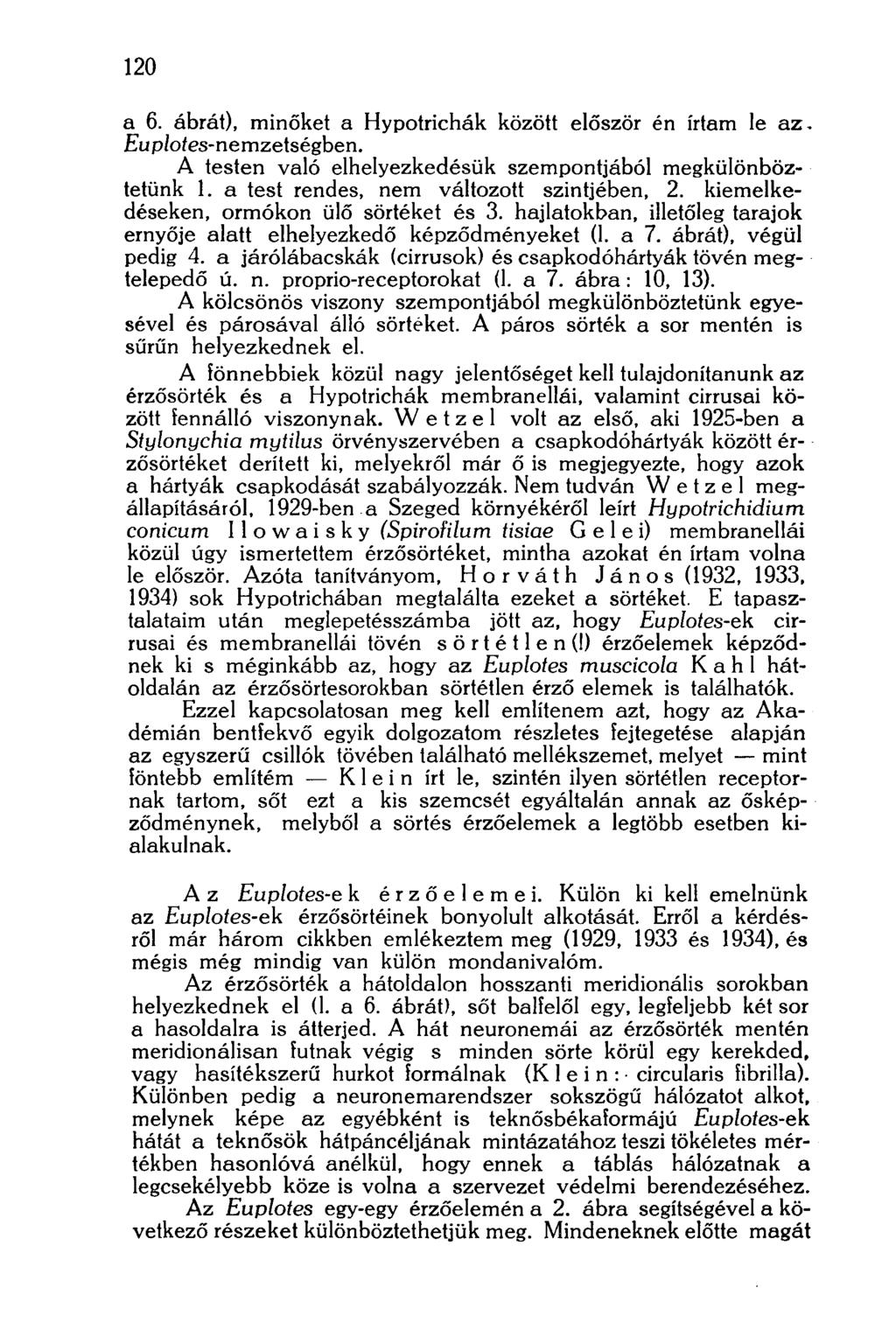 120 a 6. ábrát), minőket a Hypotrichák között először én írtam le az Eup/oíes-nemzetségben. A testen való elhelyezkedésük szempontjából megkülönböztetünk 1. a test rendes, nem változott szintjében, 2.