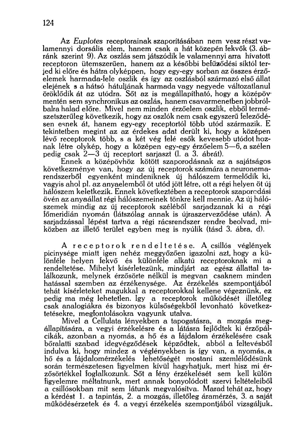124 Az Euplotes receptorainak szaporításában nem vesz részt valamennyi dorsális elem, hanem csak a hát közepén fekvők (3. ábránk szerint 9).