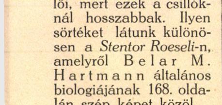 Ez alól azonban szép kivételt képeznek a Stentor-ok, melyeknek testoldalán a hosszanti csillósorokban több helyütt vannak vastag,