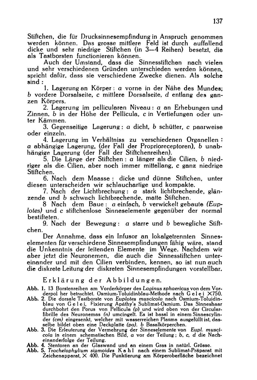 137 Stiflchen, die für Drucksinnesempfindung in Anspruch genommen werden können.