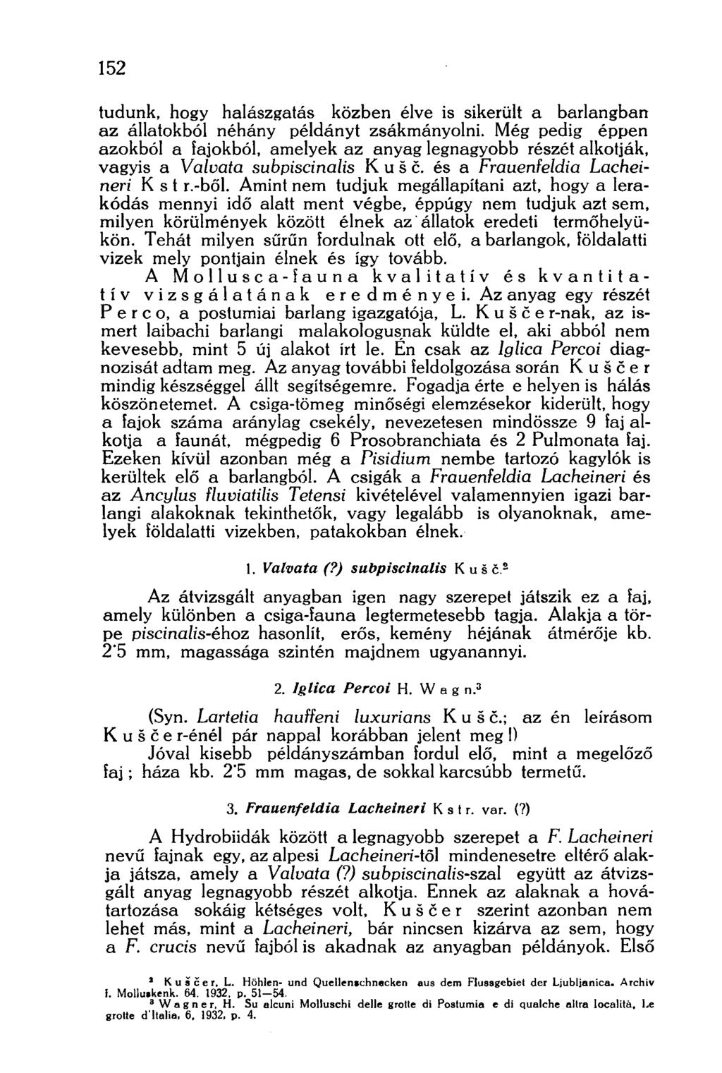 152 tudunk, hogy halászgatás közben élve is sikerült a barlangban az állatokból néhány példányt zsákmányolni.