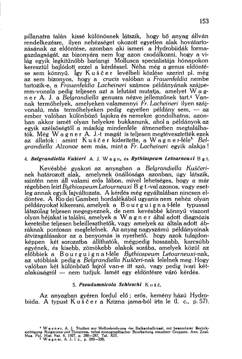 153 pillanatra talán kissé különösnek látszik, hogy bő anyag állván rendelkezésre, ilyen nehézséget okozott egyetlen alak hovátartozásának az eldöntése, azonban aki ismeri a Hydrobiidák