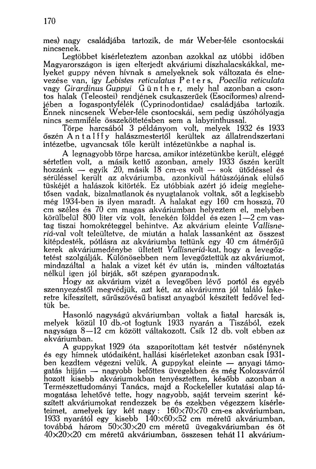 170 mes) nagy családjába tartozik, de már Weber-íéle csontocskái nincsenek.