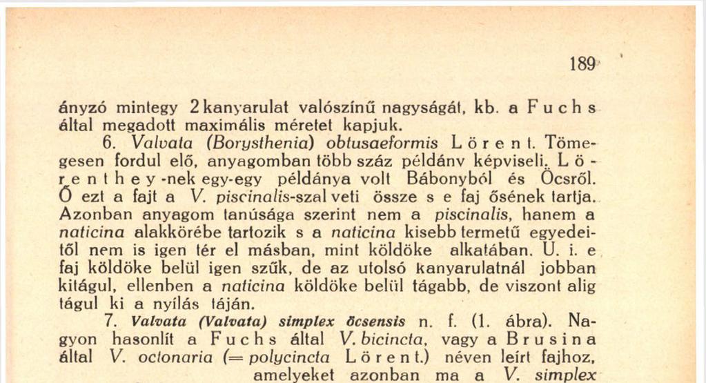 e faj köldöke belül igen szűk, de az utolsó kanyarulatnál jobban kitágul, ellenben a naticina köldöke belül tágabb, de viszont alig tágul ki a nyílás táján. 7. Valvata (Valvata) simplex öcsensis n. f. (1.
