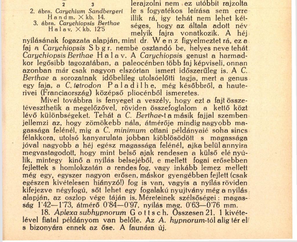 191 közel áll a minimum-hoz, hogy ennek filogeniai sorába bizonyára belétarlozik. 17. Carychiopsis Berihae H a 1 a v. (3. ábra). E faj története szorosan összefonódik a megelőzőével.