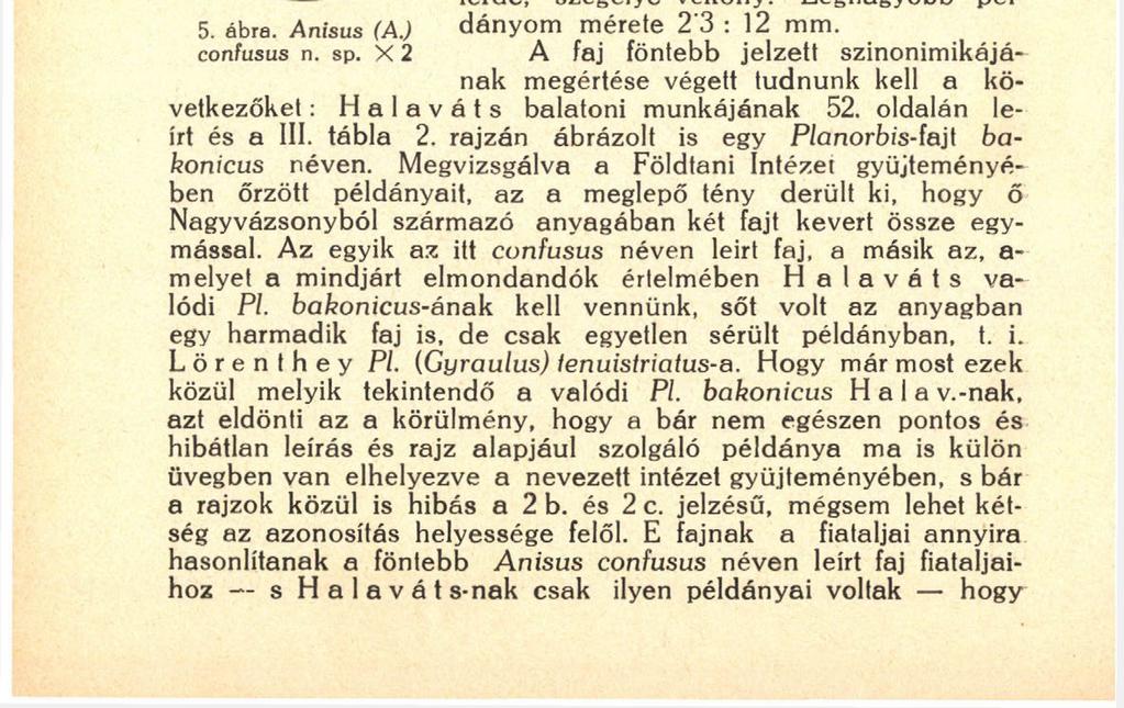194 rajta fogak ezt Lörenthey nem tudta a héj belsejében islehetnek, esetleg több is egymás mögött.