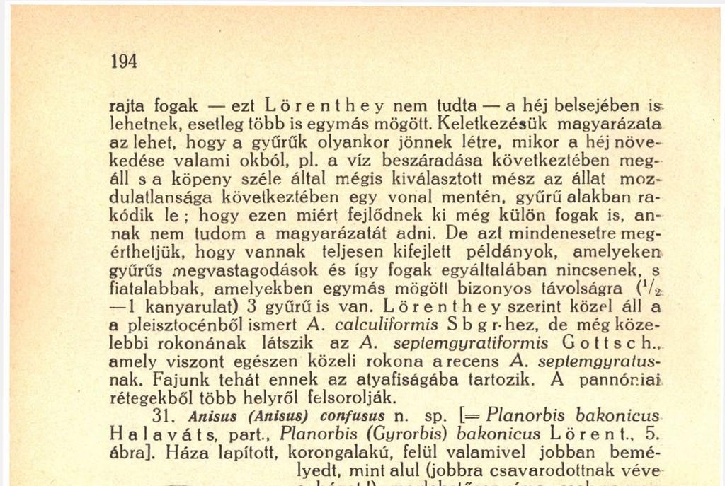 septemgyratiformis G о 11 s с h amely viszont egészen közeli rokona a recens A. septemgyratusnak. Fajunk tehát ennek az atyafiságába tartozik. A pannóniai rétegekből több helyről felsorolják. 31.