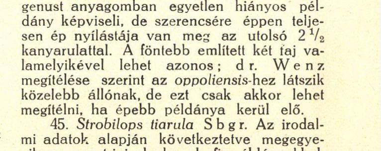 196 szarmatából volt ismeretes ; Öcsön még gyakoribb a törzsalaknál, kb. 300 példányom van belőle. 39. Abida frumentum hungarica К i m.