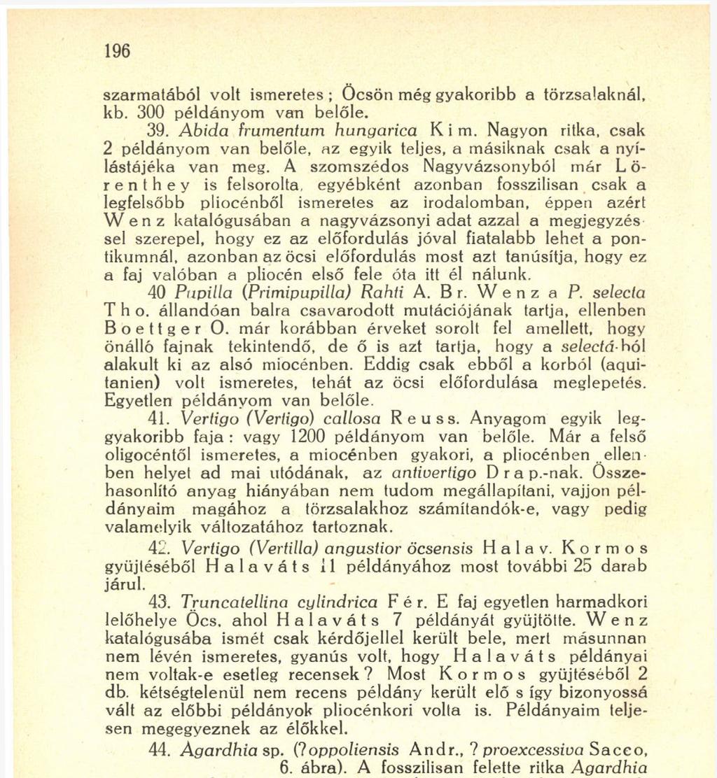 nálunk. 40 Pupilla (Primipupilla) Rahti А. В r. W e n z a P. selecta T h o. állandóan balra csavarodott mutációjának tartja, ellenben Boettger 0.