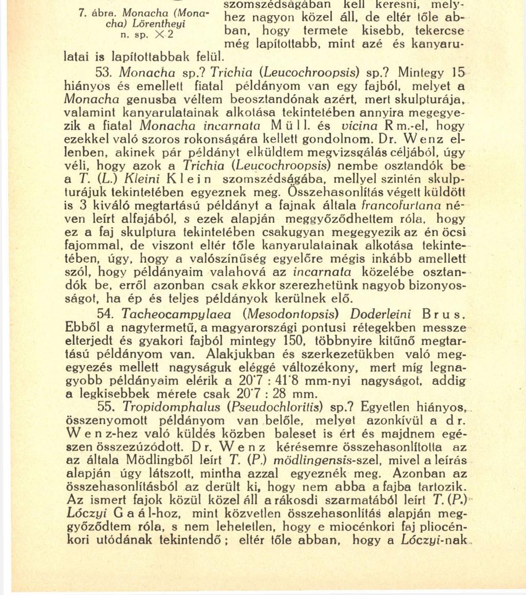 198 they Imre egyetemi tanár emlékét óhajtottam megtisztelni, mikor ezt a fajt az ő nevéről neveztem el.