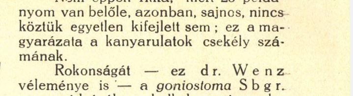 W e n z véleménye is ' a goriiostoma S b g r. szomszédságában kell keresni, mely- 7 ' á K%a^Lörenthe1 na HeZ ' па 8У п közel a11 de eltér lőle ' ab " n. sp.