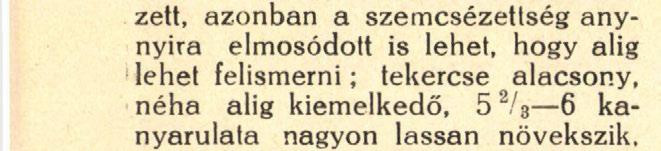 Helicigona (Kosicia) vagy legömbölyített, csak kissé (7 4 - Pelissae n. sp.