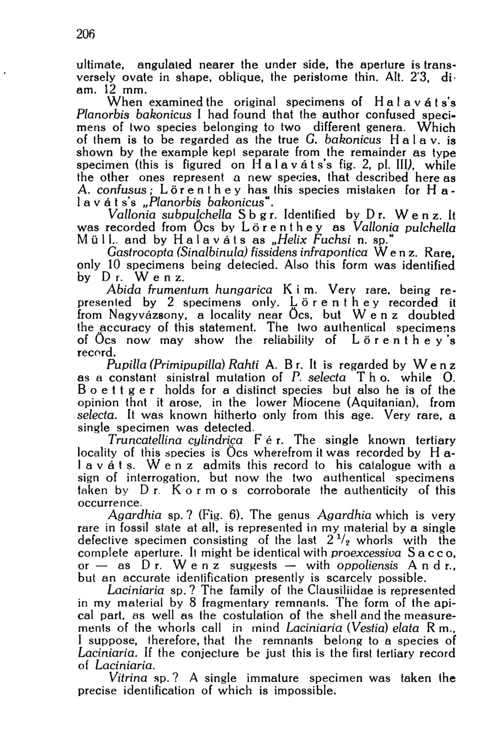 206 ultimate, angulated nearer the under side, the aperture is transversely ovate in shape, oblique, the peristome thin. Alt. 2'3, diam. 12 mm.