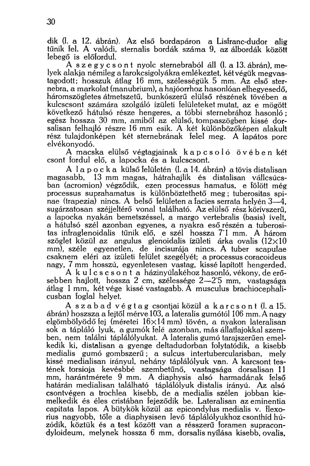 30 dik (1. a 12. ábrán). Az első bordapáron a Lislranc-dudor alig tűnik lel. A valódi, sternalis bordák száma 9, az álbordák között lebegő is előfordul. A szegycsont nyolc sternebraból áll (1. a 13.