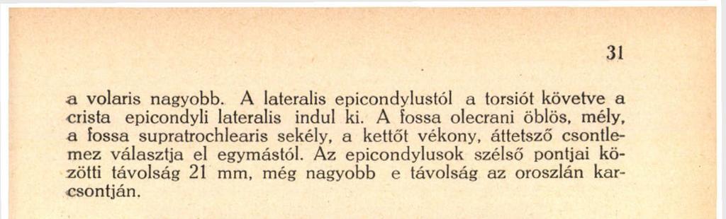 ). 16. a. Ossa manus. Az alkar csontjai közül az о r s ó с s о n t (I. a 15.