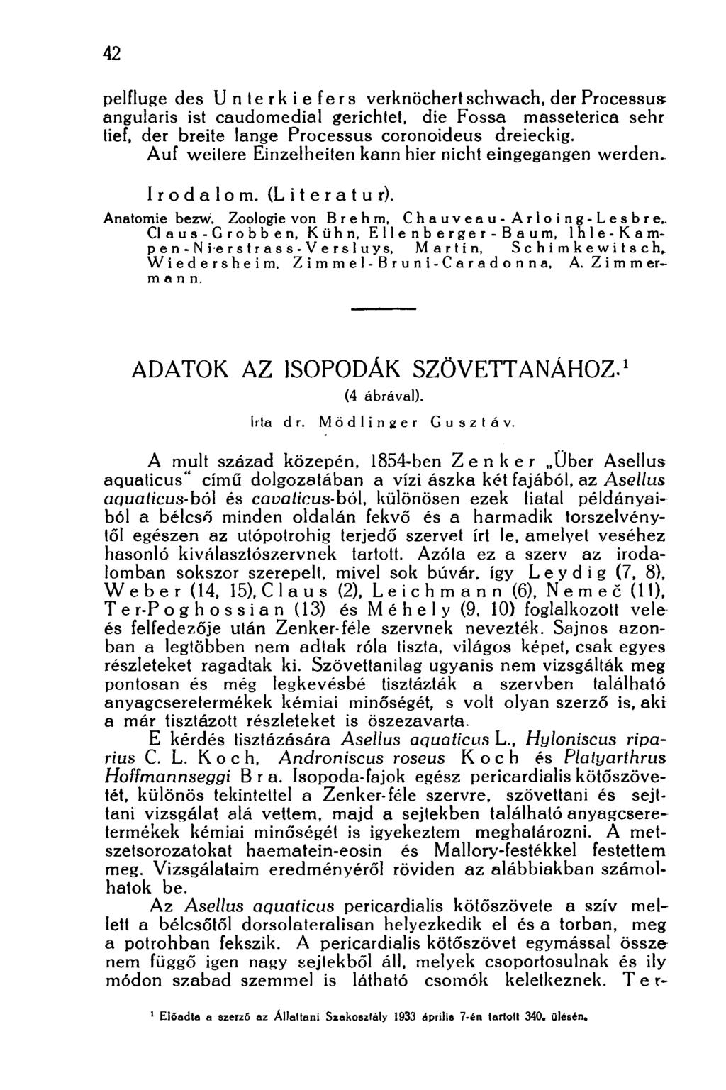 42 pelfluge des Unterkiefers verknöchert schwach, der Processus angularis ist caudomedial gerichtet, die Fossa masseterica sehr tief, der breite lange Processus coronoideus dreieckig.