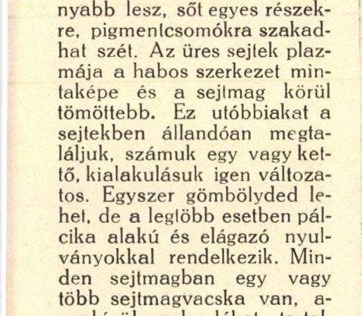 Az egyes nagy sejteket pigmentburok veszi körül, amely azonban nem állandó, mert azokról a sejtekről, amelyekben a később tárgyalandó anyagcseretermék benne van, a pigmentburok eltűnik és annak csak