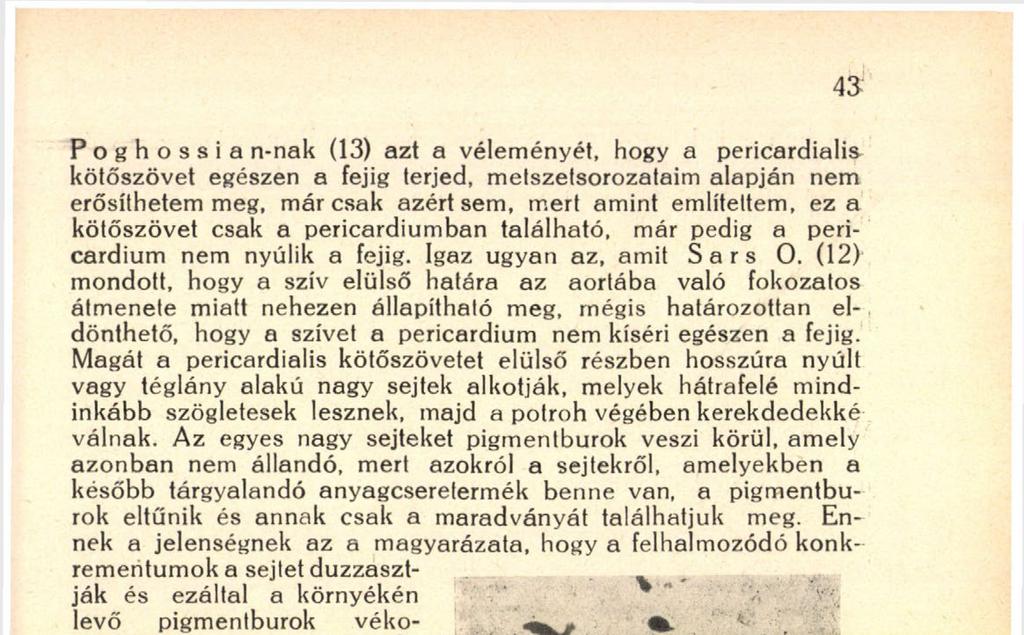 Ennek a jelenségnek az a magyarázata, hogy a felhalmozódó konkrementumok a sejtet duzzasztják és ezáltal a környékén levő pigmentburok vékonyabb lesz, sőt egyes részekre, pigmenlcsomókra szakadhat
