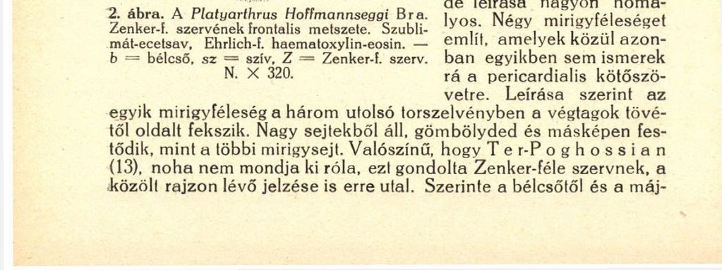 44 irányban terjed ki és ott szabad szemmel is látható sárga sávot alkot.