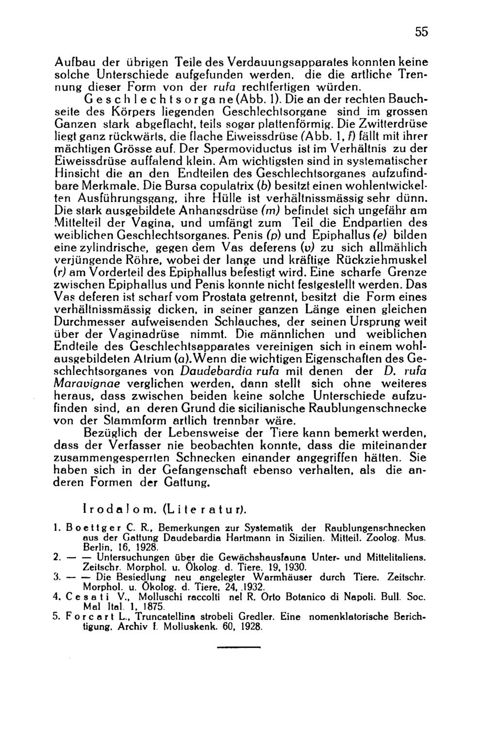 Aufbau der übrigen Teile des Verdauungsapparates konnten keine solche Unterschiede aufgefunden werden, die die artliche Trennung dieser Form von der rufa rechtfertigen würden. Geschlechtsorgane (Abb.