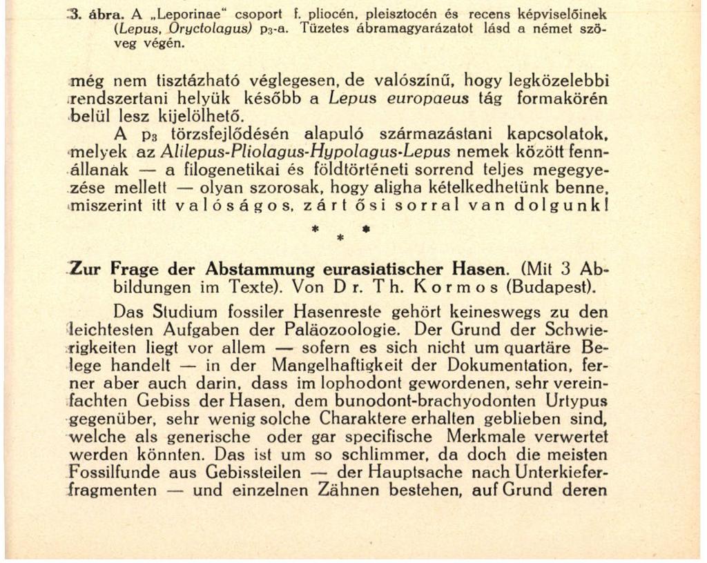 rigy ezt a nagyon elterjedt fajt most véglegesen Hypolagus brachygnathus n. sp. néven vezetem be az irodalomba. Az igazi, modern" nyulak (Lepus s. str.
