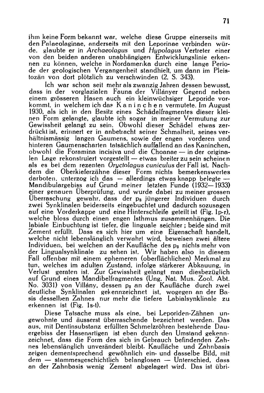 ihm keine Form bekannt war, welche diese Gruppe einerseits mit den Palaeolaginae, anderseits mit den Leporinae verbinden würde, glaubte er in Archaeolagus und Hypolagus Vertreter einer von den beiden